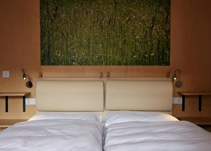 أنيليس * زيرمات